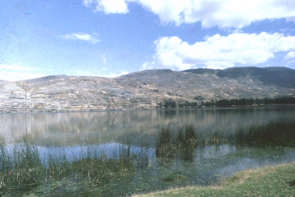 Laguna de Paca 2